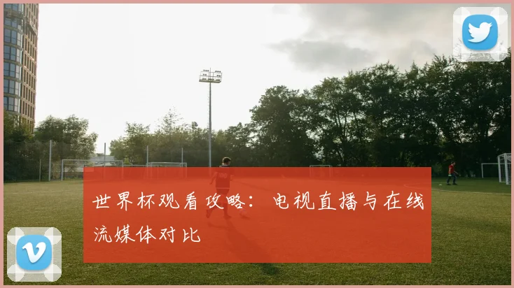世界杯观看攻略:电视直播与在线流媒体对比