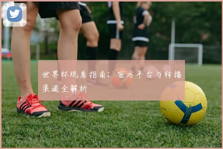 世界杯观看指南:官方平台与转播渠道全解析