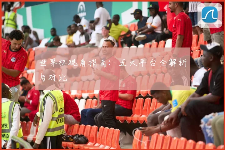 世界杯观看指南：五大平台全解析与对比